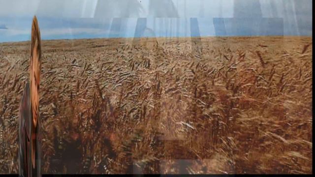 Денис Косякин - Первый cнег/ муз Лев Поливода сл Виктор Дюнин смотреть онлайн