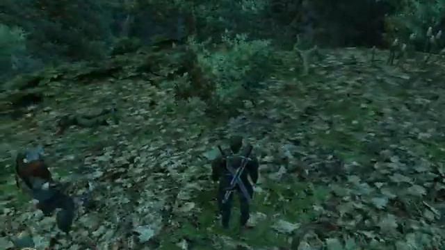 Gothic 3 bug смотреть онлайн