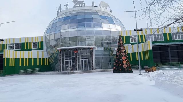 Справа от входа в зоопарк поставили Ёлку 26-ого Декабря смотреть онлайн