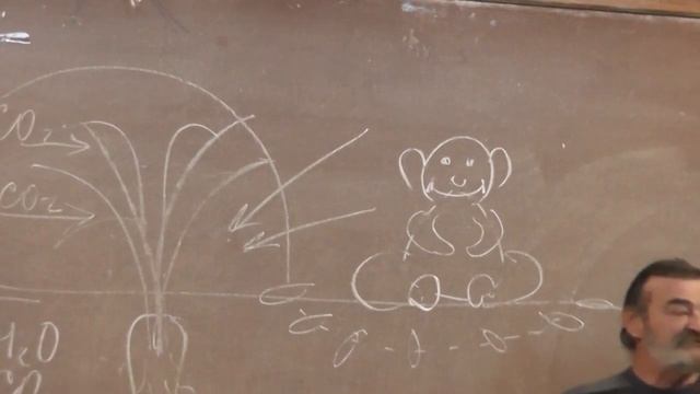 Автотрофы. Гетеротрофы. смотреть онлайн