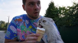 24 ЧАСА ГОВОРЮ ДА ВСЕМ КОТАМ ВТАЙНЕ ОТ ЗВЕРОМАМЫ