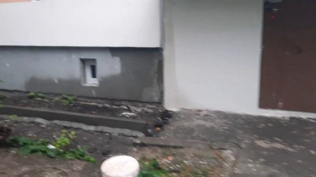 Пятиэтажка в процессе ремонта фасада: смотреть онлайн