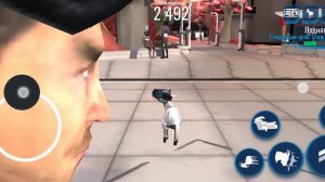 как открыть всех козлов в ярмарке любви