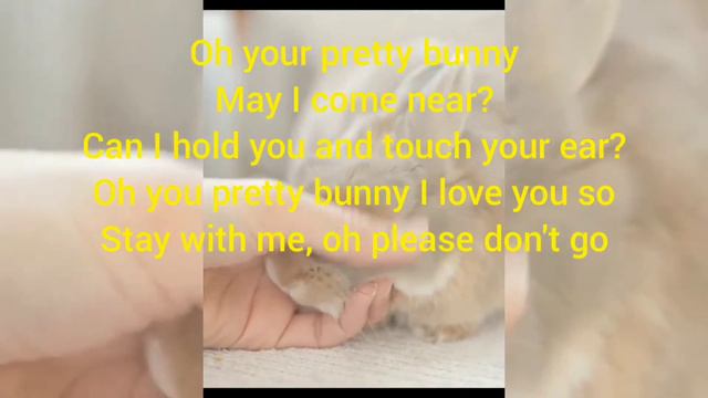 Rabbit Song/Bunny Bunny Bunny ,You are so Funny смотреть онлайн