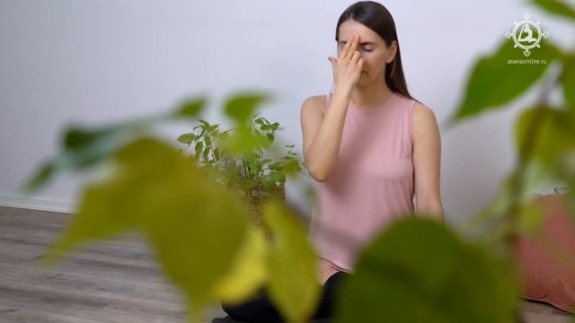 Курс «Нади-шодхана пранаяма». От простого до продвинутого смотреть онлайн