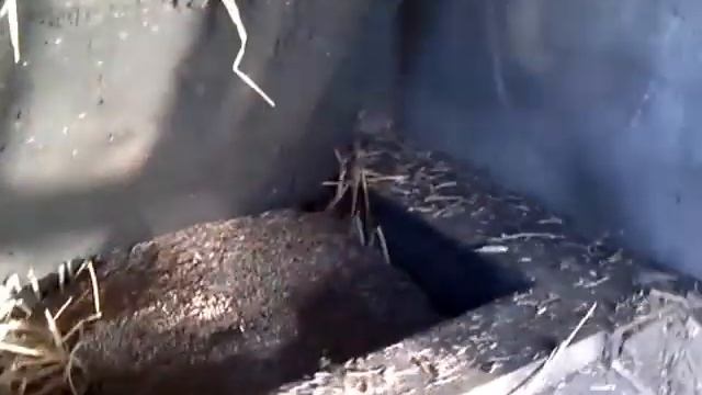 ОТОПЛЕНИЯ ДОМА СОЛОМОЙ смотреть онлайн