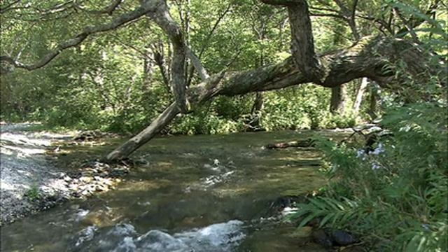 Отличная мелодия для медитации 11 6 9 смотреть онлайн