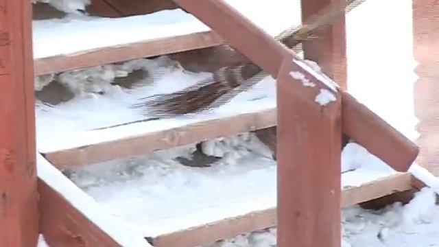 Ревда лучший город области смотреть онлайн