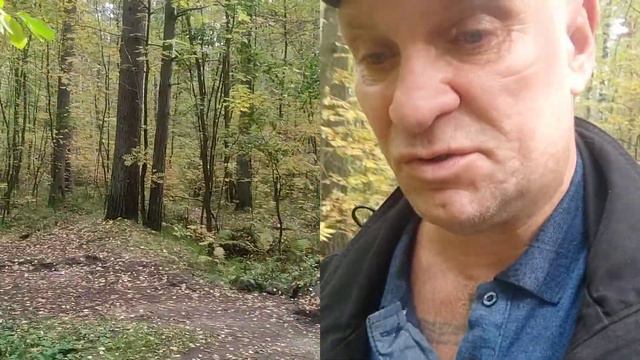 Если печалитесь, надо... (чемп.мира, prof.Сергей Зелинский). смотреть онлайн