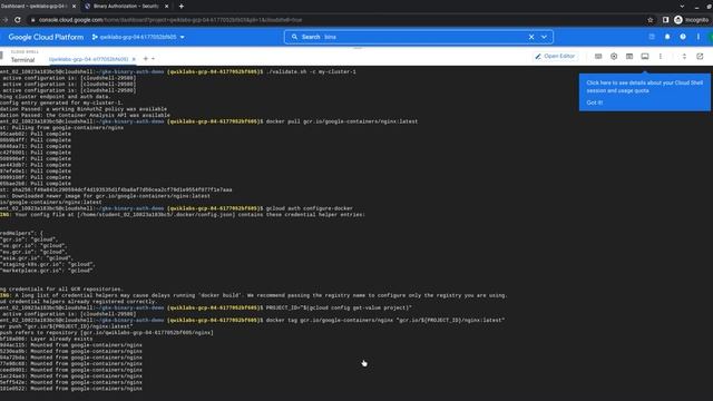 Google Kubernetes Engine Security: Binary Authorization || #GCRF || #qwiklabs || #GSP479 смотреть онлайн