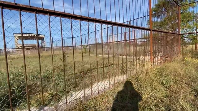 Суматранские тигры Акбар, Троль и Барон ДЕРЖАТСЯ ВМЕСТЕ ! смотреть онлайн