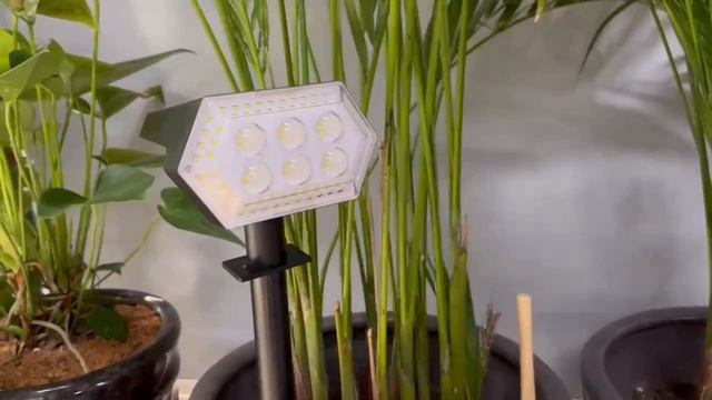 Уличный фонарь смотреть онлайн