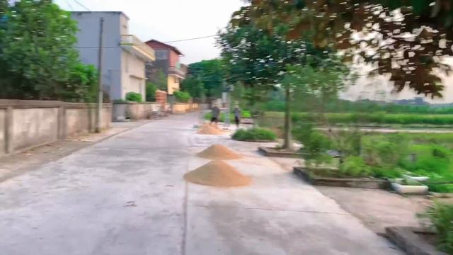 Thằng Bạn Kéo Diều Vỡ Bộ Sáo Kỉ Niệm - Reviw Nhà Thuận Con Phát Hiện Chú Rùa 100 Tuổi смотреть онлайн