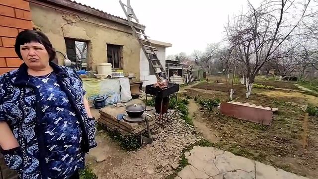 переезд из Сибири на Юг/кто не работает, тот ест/зацвёл абрикос//с нами весело смотреть онлайн