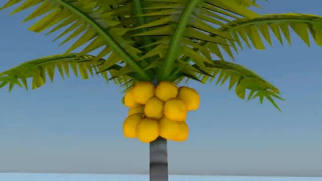 COCONUL смотреть онлайн