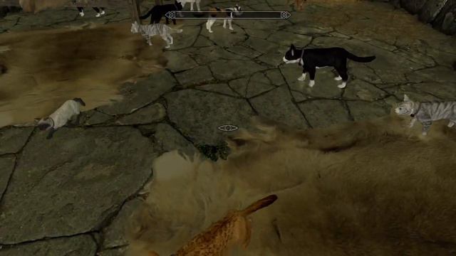 Skyrim XB1 Mods *Cats-In-Skyrim-SSE Xbox1* Add a Familiar to your Halloween Mods! смотреть онлайн