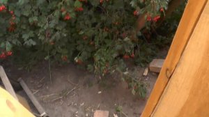 Септик на даче без вложений.(Туалет без запаха).