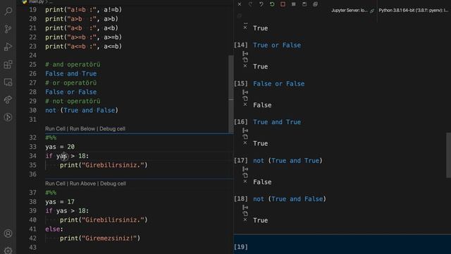 8- Python 3'te Koşullu Durumlar смотреть онлайн