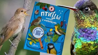 Птицы_ книжка с наклейками смотреть онлайн