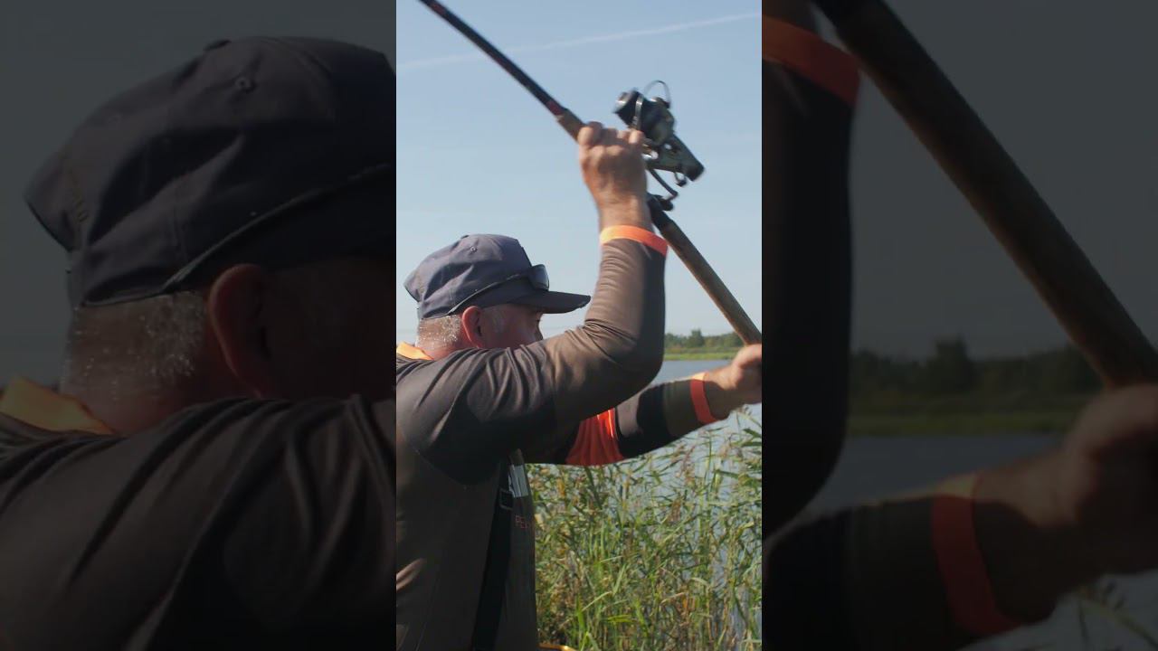 ASMR рыбалка #охота #рыбалка #asmr #remington смотреть онлайн