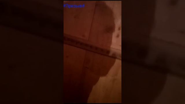 Жесть.Вызвал банника и пожалел) смотреть онлайн