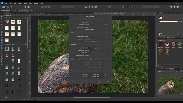 Affinity Designer - Using Crop To Make Styles смотреть онлайн