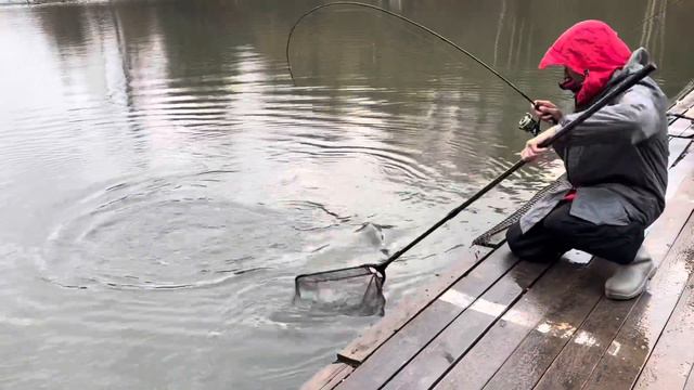 Спорт зона смотреть онлайн