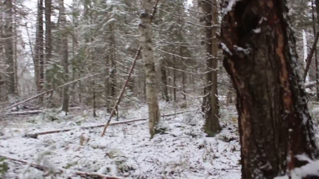 Человек побежден только тогда,когда он оставляет всякие попытки и отказывается от себя. смотреть онлайн