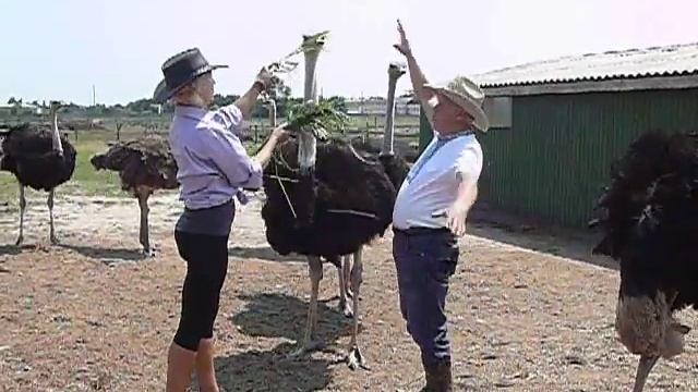 Тала Жемчужная на ферме Александра Дубчака. смотреть онлайн