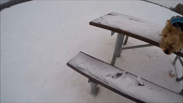 Trip to the city to pick up the 4X4 van смотреть онлайн