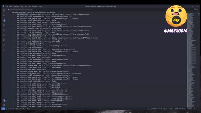 Dumpulator - Using Binary Emulation To Automate Reverse Engineering смотреть онлайн