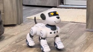 РОБОТ СОБАКА🤔 УМНЫЙ ЩЕНОК-ЛОВКАЧ😬