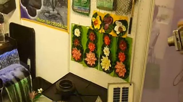 Аквариумный водопад (INTERZOO 2012). смотреть онлайн
