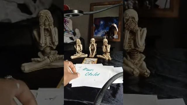 Mid- Day ORACLE CHECK IN ! WHAT'S THE WORD? смотреть онлайн