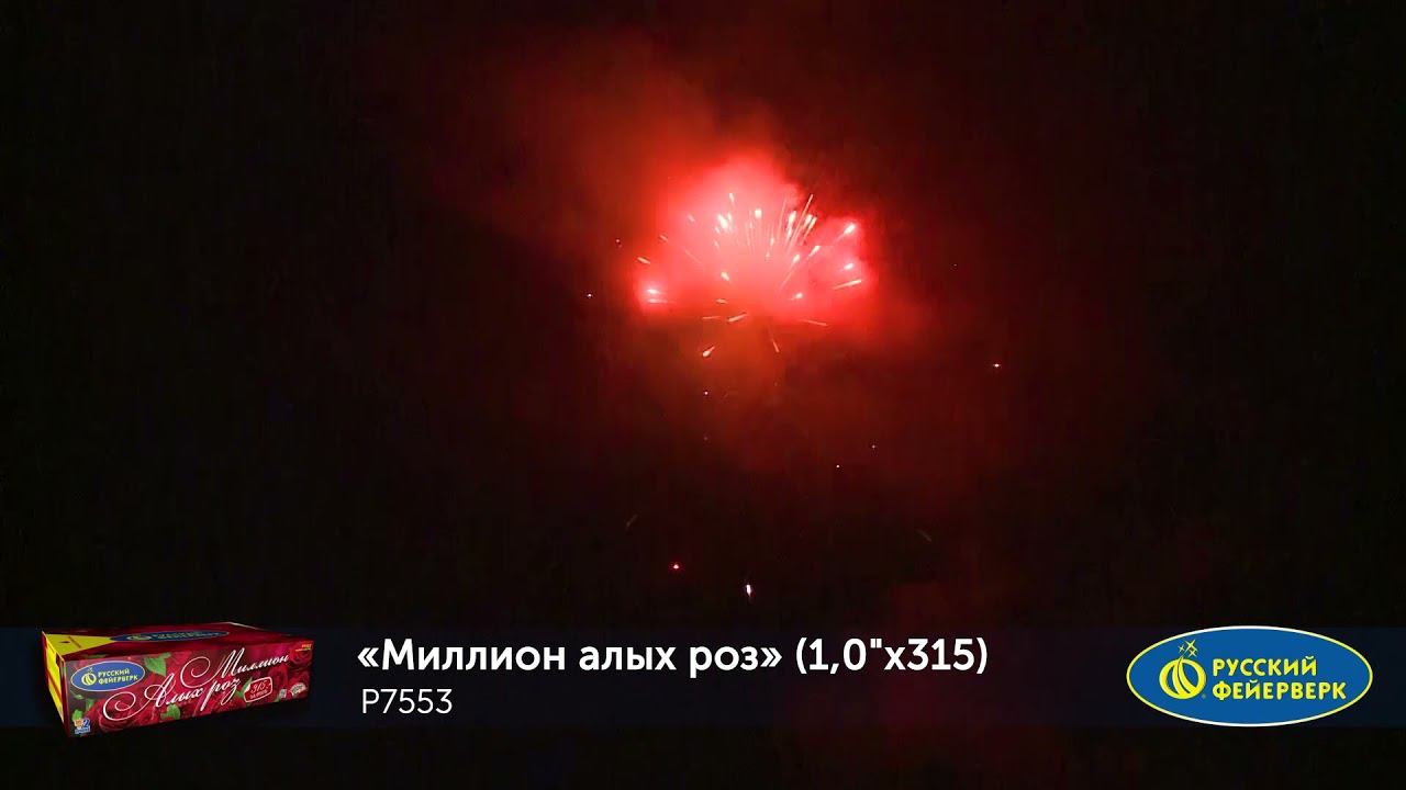 P7553 смотреть онлайн