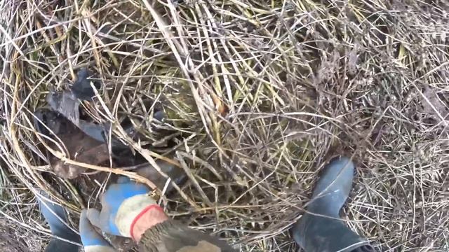 ИСПОЛЬЗУЮ ЛЮБУЮ ВОЗМОЖНОСТЬ ДЛЯ МЕТАЛЛОКОПА! смотреть онлайн
