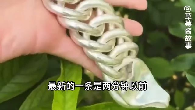 #已完结——闺蜜和我老公说，跟我在一起真是委屈他了。重来一世，我选择把嫁给一个残疾人的好福气，留给闺蜜 смотреть онлайн