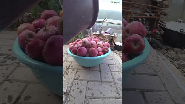 Компот из Яблок Ред Кетти на зиму смотреть онлайн