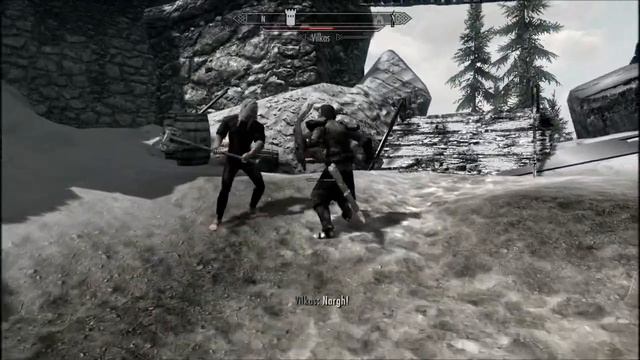 Skyrim NPC Wars: Dark Brotherhood x Companions смотреть онлайн