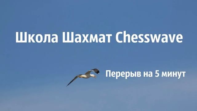 Высшая лига Чемпионат России по шахматам 5 тур ? комментирует мастер спорта России Хмельницкий А.И.