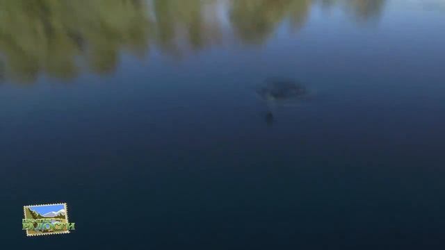 Летняя рыбалка на Волге. База Райтель. Июль 2015 часть 1 смотреть онлайн