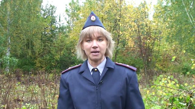 Волны приключений и любви