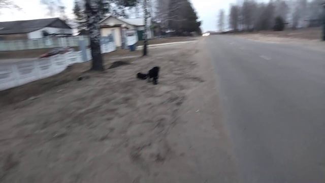 Среди людей, не так легко найти друзей...3.03.2022год... смотреть онлайн