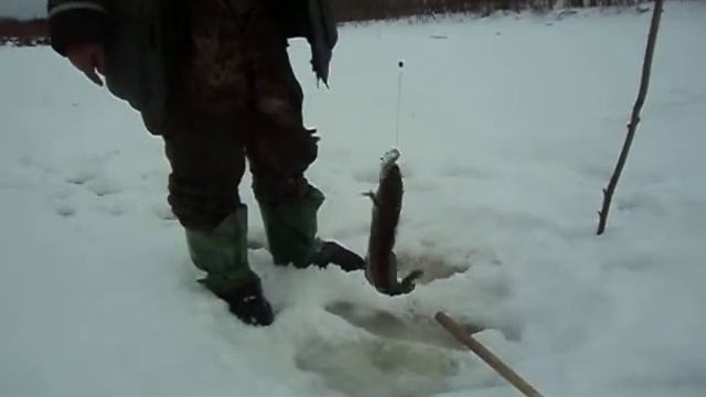 На Лозьве. смотреть онлайн