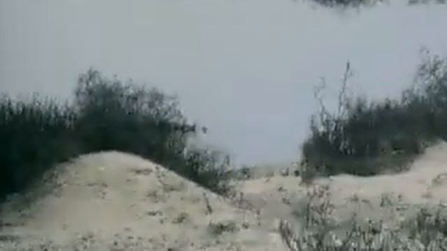 Нефтяная пленка смотреть онлайн