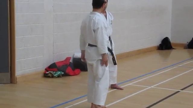 kagawa-sensei demonstrates various parts of kata Gojushiho-sho смотреть онлайн