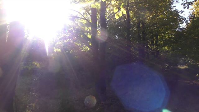 Состояние осознования или Я Есть! смотреть онлайн