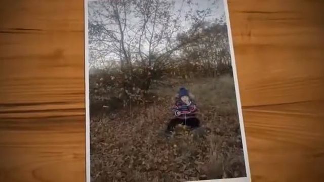 Что нам осень подарила, группа 9 смотреть онлайн