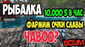 ГАЙД ПО SCUM | РЫБАЛКА | ЗАРАБОТОК 10.000 В ЧАС | ФАРМИМ ОЧКИ СЛАВЫ | Toffiklive