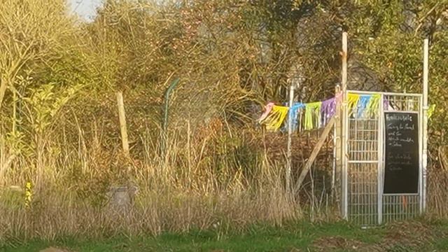 МИНЫ В ГЕРМАНИИ, ОСТОРОЖНО! 